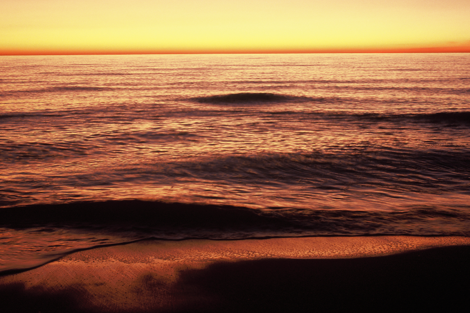 Golden Beach, Venice, SWFL