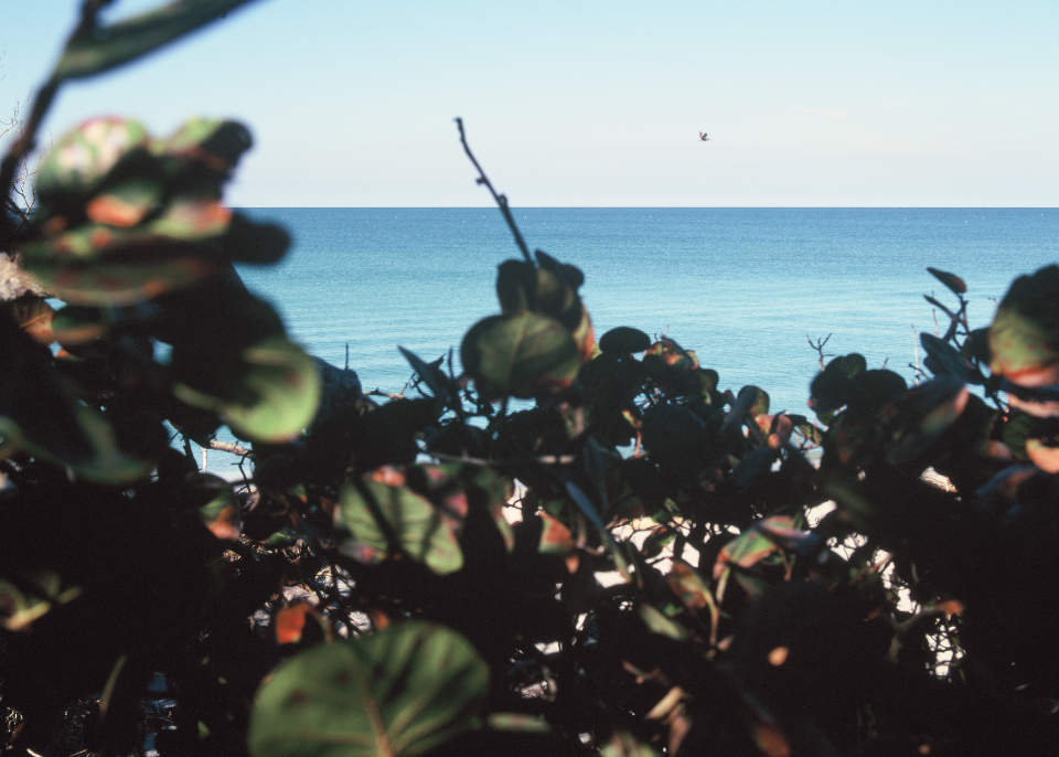 caspersen beach, venice, fl