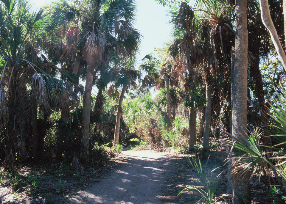 caspersen beach, venice, fl