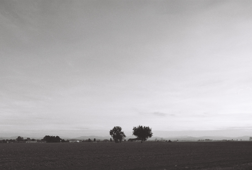 Hills view from Paderna, south of Piacenza, Italy