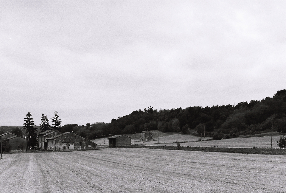 Near Vigolo Marchese, Italy