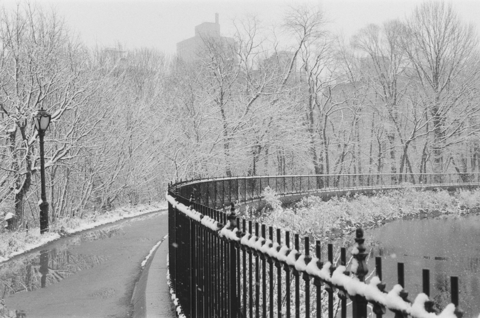 snow on central park