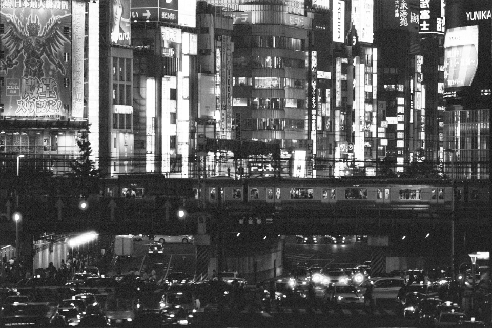 subway bridge in Tokyo, 2010