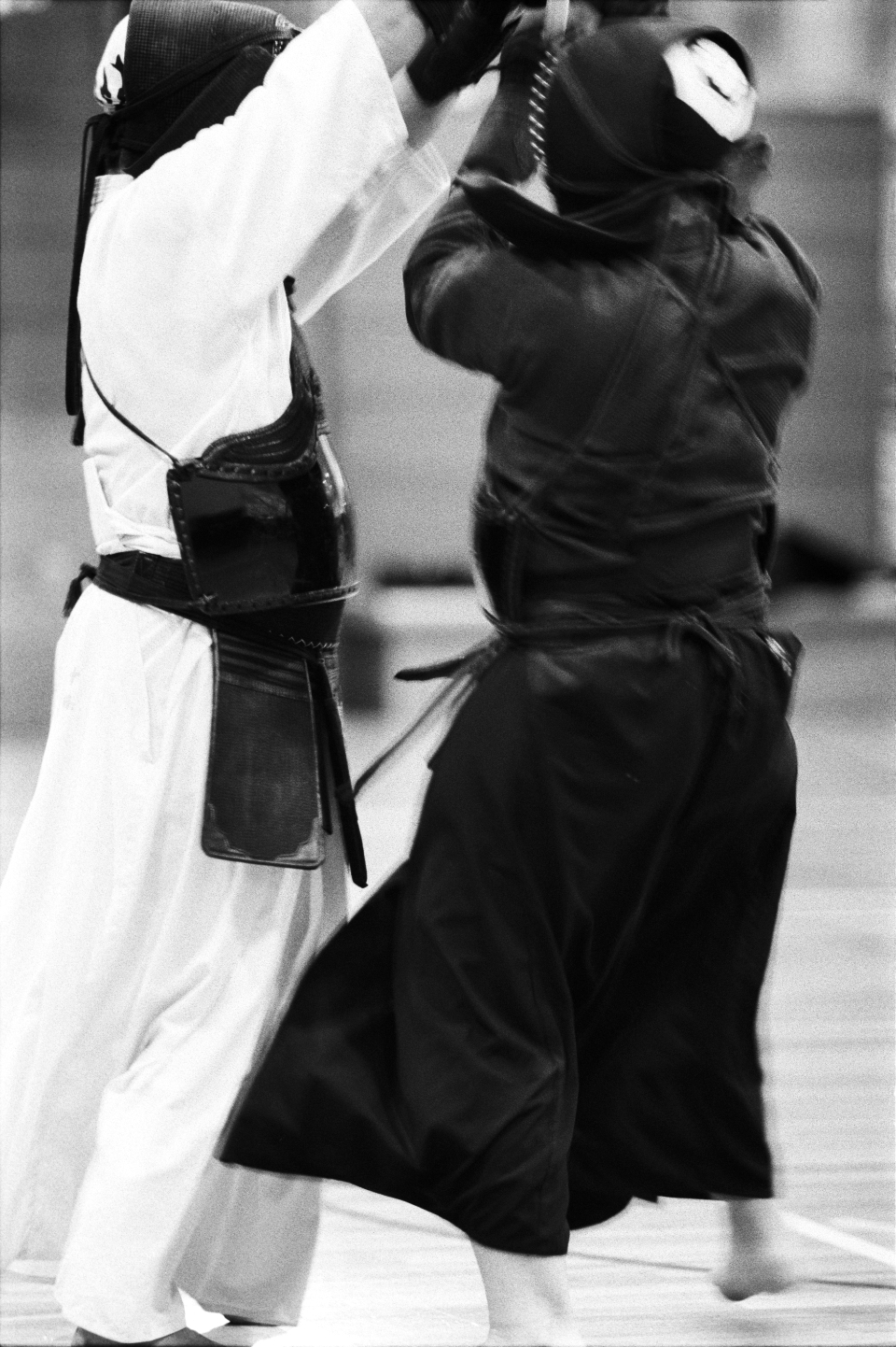 kendo duel in Tokyo, 2010