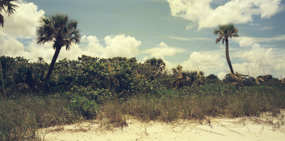 Clam Bay, Naples, SWFL