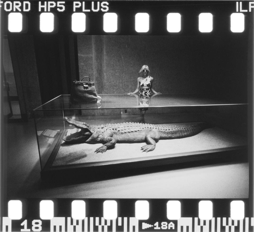 scan of original photographic direct positive ur-lr0001-18
